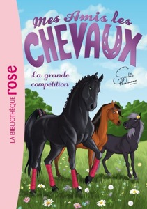 Mes amis les chevaux / Tome 2 / La grande compétition / Sophie Thalmann / Bibliothèque Rose