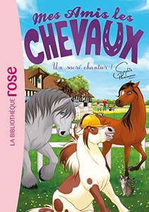Mes amis les chevaux / Tome 31 / Un sacré chantier ! / Sophie Thalmann / Bibliothèque Rose